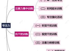  如何在团队训练中培养球员的专注力：策略、方法与实践经验